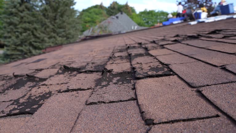 Trusted Albers, IL Roofing Services Experts