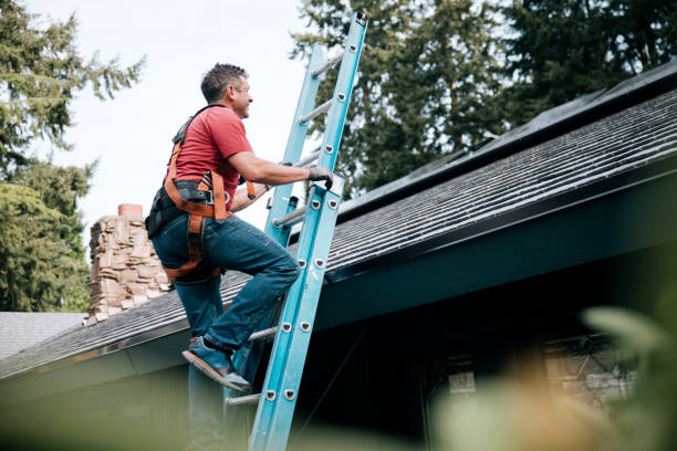 Best Roof Moss and Algae Removal  in Albers, IL